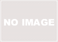 菊爛漫｜「フラワーズピッコロモンド」　（愛知県名古屋市中区の花キューピット加盟店 花屋）のブログ